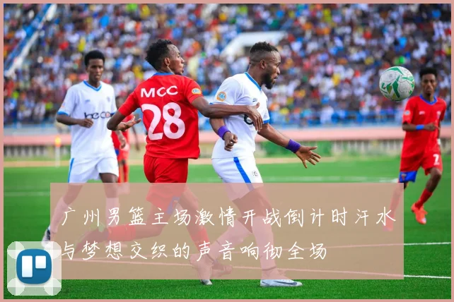广州男篮主场激情开战倒计时汗水与梦想交织的声音响彻全场