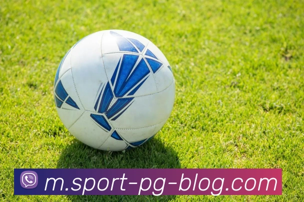 南宫体育APP 封面图